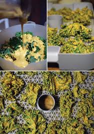 Best Ever Kale Chips Recipe Vegan Cheesy Kale Chips Recipe Kale Chip Recipes Dehydrator Recipes Cheesy Kale Chips