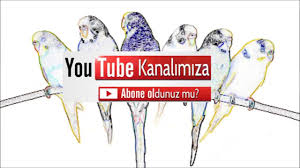 Muhabbet Kusunda Ayak Kirilmasi Ve Kanama Nasil Tedavi Edilir Youtube