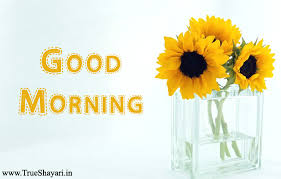 Download free good morning images in hindi with quotes, flowers, love, him her. Good Morning Images In Hindi English Shayari Status Wishes Quotes
