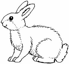 Check out our printable coloring pages selection for the very best in unique or custom, handmade pieces from our digital shops. Rabbit Coloring Pictures Coloring Home