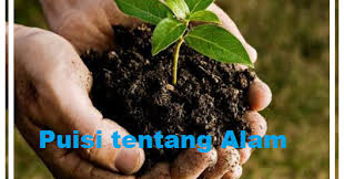 Puisi puisi lingkungan bergambar diatas berjudul terlanjur basah karya pramita widya. Contoh Puisi Tentang Lingkungan Hidup Penuh Makna