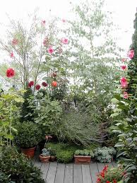 Blog De Terrasse Un Jardin Suspendu A Paris Un Jardin En Pots Jardins Suspendus Jardinage Terrasse Pot Jardin