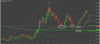 bitshares the end of correction cryptopost