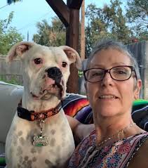 How to create a Christmas background for a dog?