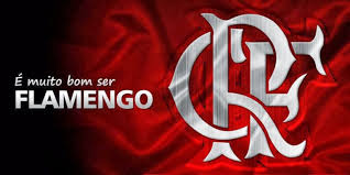 Resultado de imagem para imagem flamengo