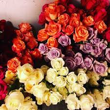 Tried to send birthday flowers 3 days later still not brenda of colorado springs, co. Springs In Bloom Home Facebook