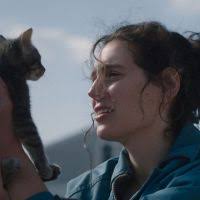 TIFF21 Review: Wolf (Special Presentations)