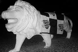 Santos 10 x 0 naviraiensesantos (sp)ficha técnicasantos 10 x 0 naviraienselocal: Santos 10 X 0 Naviraiense Literalmente Um Passeio Futebol Com Amendoim
