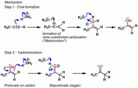 You should also explain why the alkene geometry is trans (that is, you should explain the stereochemistry!) 33 What Is The Mechanism For The Acid Catalyzed Hydration Of But 2 Yne Socratic