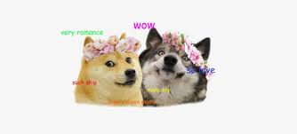 Doge, doge coin, doge to the moon, to the moon, crypto, cryptocurrency, bitcoin, ethereum, eth, btc, stonks. Moon Moon Doge Moon Moon And Doge 500x314 Png Download Pngkit