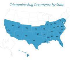 Cdc Chagas Disease General Information Vector Information