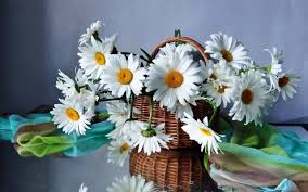Download the perfect flower love pictures. Love Flowers Wallpapers 1543x1109 Wallpaper Teahub Io