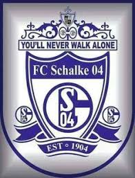 Transfers von tsg hoffenheim pro saison: Schalke 04