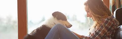 This program is a computer loan this program is available for families in needs. The Ultimate Guide To Financial Aid For Pets The Simple Dollar