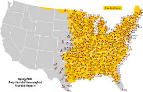 2000 Hummingbird Migration Maps