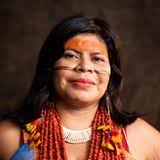 Groene Transitie #36: Protecting the Cerrado, Brazil's forgotten jewel