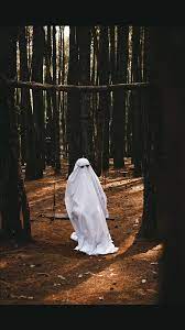 All our images are transparent and free for personal use. Ghost Photography Challenge Tiktok Ghost Photography Ghost Photos Ghost Pictures