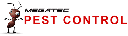 Always pest control perth is a perth based pest control small business started by stewart brisbane offering affordable pest control services from yanchep to mandurah, wa & perth wide. Pest Control Perth All Suburbs All Pests Megatec Services