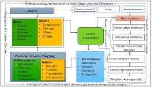 Image result for Uapaca sansibarica