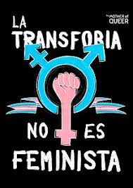 Me le imaginaba algo menos de género fluido, pero me ha hecho ilusión, hijosdeputa. Transgenero Wikipedia La Enciclopedia Libre