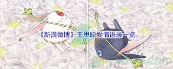 总裁，夫人已经回应了 她知错了吗 没有，她曝光了您的聊天记录 #孙一宁发王思聪聊天记录# 2 #孙一宁发王思聪聊天记录#wsc真的有够舔的哈哈哈哈哈 果然渣男都是如出一辙的又舔又恶心 孙一宁. Lb8eqosibxzm4m