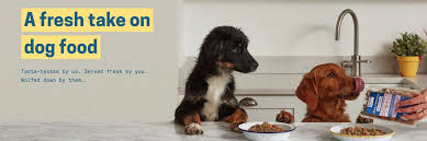 Within a couple of days sensitive dog's tummy has completely changed, normal healthy looking poo and no bad tummy smells. Butternut Box Shop At Butternut Box On The Uk High Street