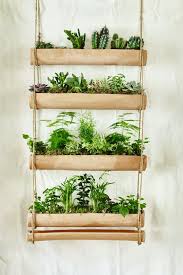 Mini Garden Indoor Trending On Gardenista The Mini Garden Indoors And Out Minigarden Indoor Hanging Garden Bamboo Garden Bamboo Planter