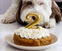 Step 3 bake in preheated oven for 40 minutes. 12 Best Dog Cake Recipes Homemade Cake For Your Pup