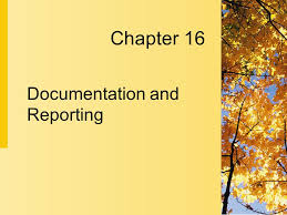 Documentation And Reporting Ppt Video Online Download