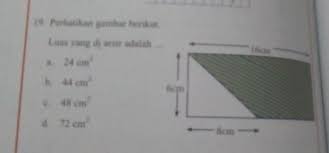 Maybe you would like to learn more about one of these? Matematika Hal 294 No 19 Brainly Co Id