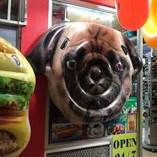 Maybe you would like to learn more about one of these? Costa Rica The Ultimate Taco In Jaco What Katie Did Eventually