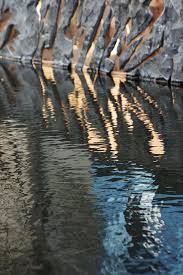 案例 那些swa与绿地合作的高颜值景观作品 waterscape water design water