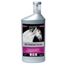 equistro betamag forte pferd fur wohlbefinden und ruhe flussige diat wohlbefinden stress