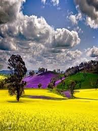 Mobile Wallpapers Hd 240x320 Love Free Download Animated Hd For Samsung Quotes Friendship Awesome Mobile Wallpaper Beautiful Nature Nature Nature Photography
