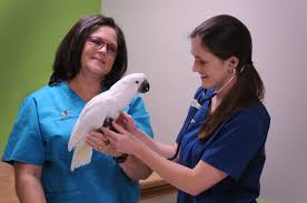 Check spelling or type a new query. Exotic Animal Medicine At University Veterinary Care Center Topeka Kansas