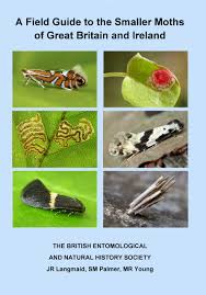 British Hoverflies An Illustrated Identification Guide 2nd
