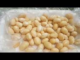 tohumdan fasulye filizlendirme fasulye ekimi dogal gubre kompost yapimi growing bean from seed youtube fasulye tohum gubre