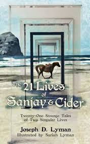 The 21 Lives of Sanjay and Cider: Twenty-One Strange Tales of Two Singular  Lives : Lyman, Sariah, Lyman, Samuel, Lyman, Malachi: Amazon.com.be: Books