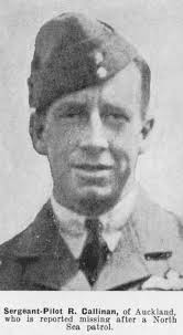 Reginald Stephen Callinan