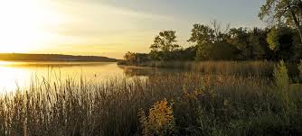 Opened in downtown fort worth in 1974, philip johnson (of the amon carter museum) designed this stark, stunning modernist landscape of pools, fountains, and terraced steps. Cleburne State Park Texas Parks Wildlife Department