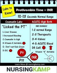 Pt And Inr And Coagulation Fishbone Prothrombin Time How To Memorize Things Lab Values