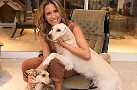 O instituto luisa mell resgatou mais de 50 animais que viviam em condições insalubres na casa de ela explicou que resgatou 50 gatos e 13 cachorros e que não pôde levar todos que estavam na casa. Luisa Mell Pede Expulsao De Maycon Do Bbb Por Relato De Crueldade Com Gato Saladas Boas Ideias Vegetais