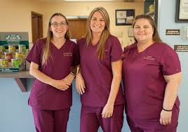 Lamb is a florida native, and has been a trusted veterinarian in the tampa bay area for the past 28 years. Find Pet Care Information And Veterinarians
