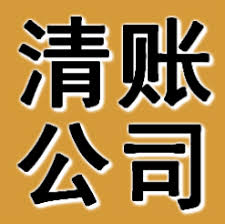 合肥清债公司