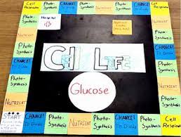 Check spelling or type a new query. Felipe S E Portfolio My Cells Project Cells Project Homeschool Science Projects Teaching Biology