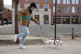In our october cover story, the comedian discusses his relationship with pete davidson, the problem with. How John Mulaney Comedian Spends His Sundays The New York Times