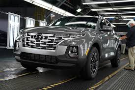 Image result for Hampton Gray 2022 Santa Cruz