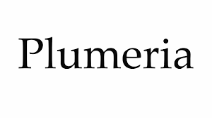 How To Pronounce Plumeria Youtube