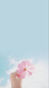  Wallpaper Iphone Android Background Sky Blue Pink Flowers Bunga Cat Air Latar Belakang Fotografi Abstrak