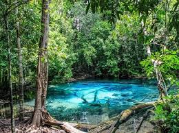 10 Hidden Islands Of Thailand You Have To Visit Krabi Thailand Krabi Island Life